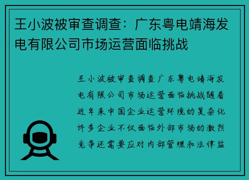 王小波被审查调查：广东粤电靖海发电有限公司市场运营面临挑战